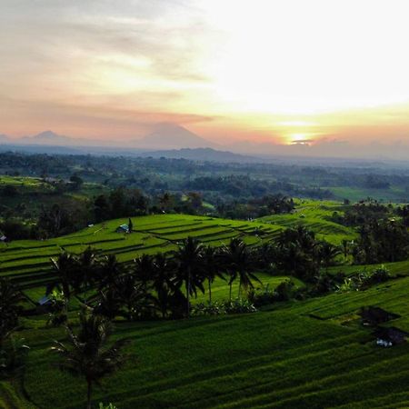 Bhuana Agung Villa And Restaurant Jatiluwih Kültér fotó