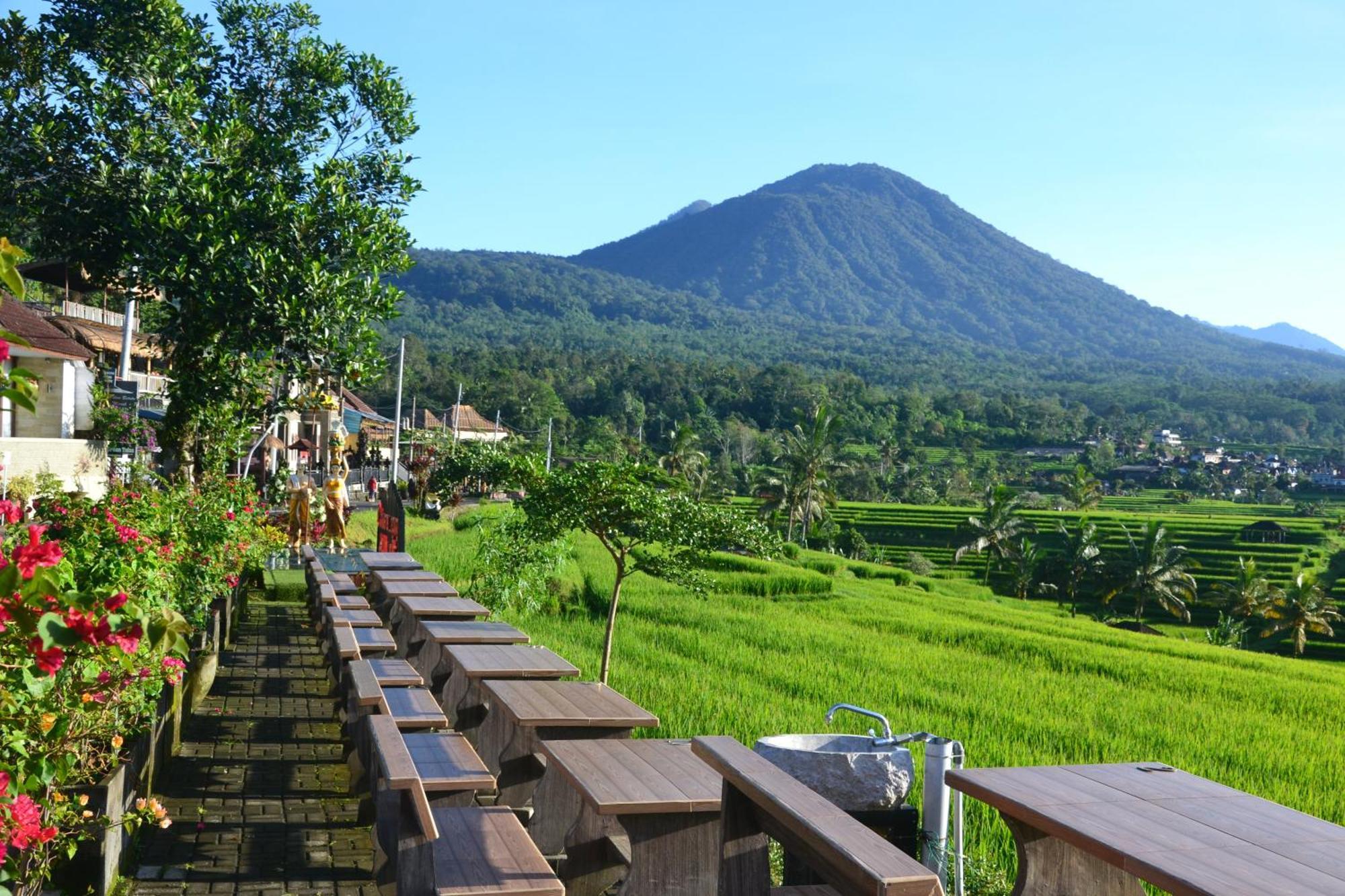 Bhuana Agung Villa And Restaurant Jatiluwih Kültér fotó