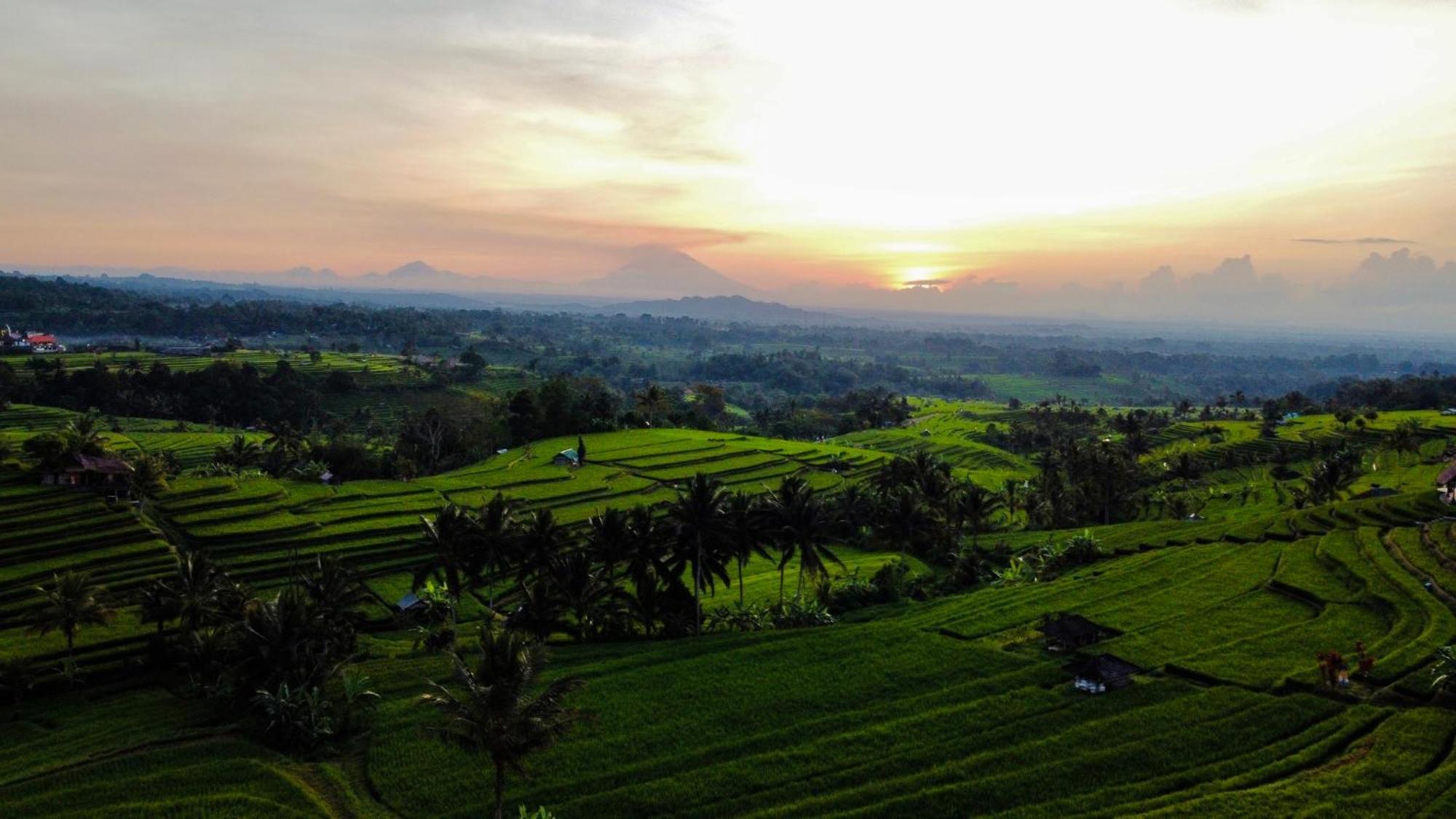 Bhuana Agung Villa And Restaurant Jatiluwih Kültér fotó